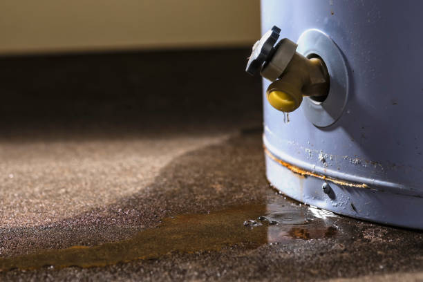  Speedway, IN Water damage restoration Pros