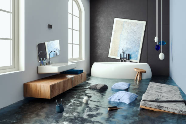 Best Mold removal after water damage  in Speedway, IN
