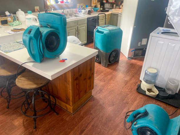 Best Carpet water damage restoration  in Speedway, IN