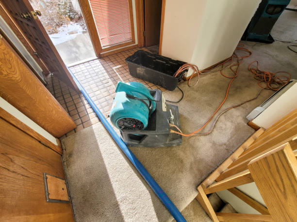 Best Carpet water damage restoration  in Speedway, IN
