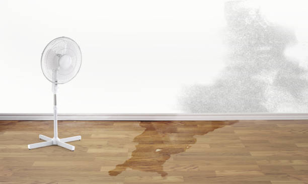 Best Water damage restoration insurance claims  in Speedway, IN