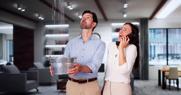 Best Local water damage restoration  in Speedway, IN